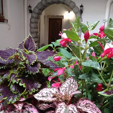 Rynok 25 Modern Center شقة *