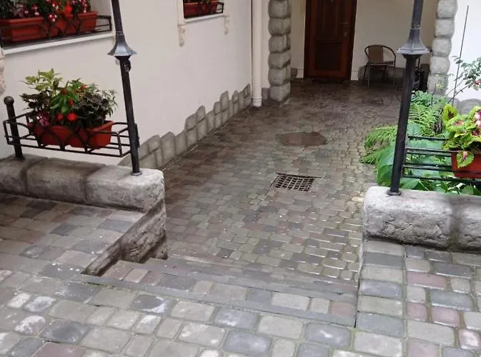 Daire Rynok 25 Modern Center Lviv