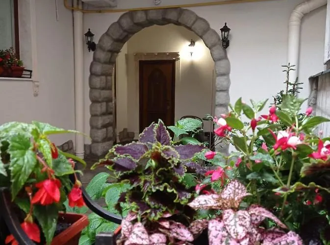 Rynok 25 Modern Center * Leópolis