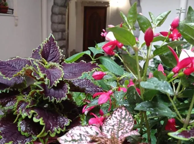 Rynok 25 Modern Center Apartamento *